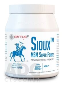Barny's Sioux MSM Super Forte prášok 1x600 g