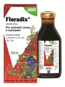 SALUS Floradix bylinný sirup 1x250 ml