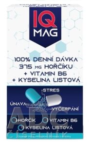 IQ MAG Horčík + B6 + kyselina listová cps 1x60 ks