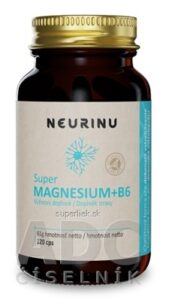 NEURINU Super MAGNESIUM+B6 cps 1x120 ks