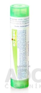 CHAMOMILLA VULGARIS GRA HOM CH5 1x4 g