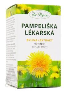 Dr. Popov PÚPAVA LEKÁRSKA cps (bylina - extrakt) 1x60 ks